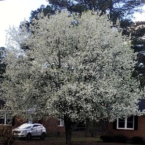 Meet your Posher, Airian